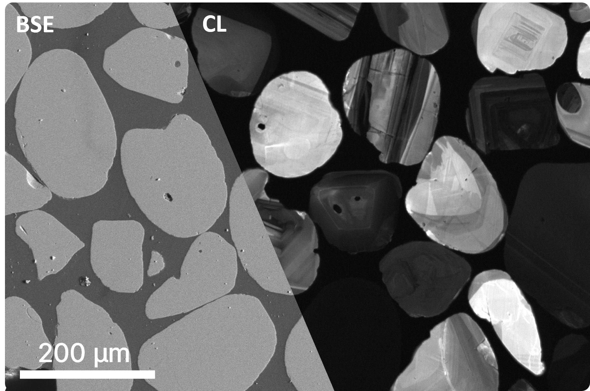 BSE CL-1