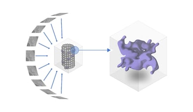 CRYO_LRRK2 Tomography_Blogpost