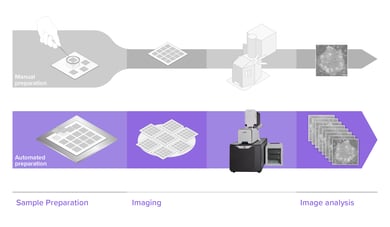 FAST-EM_BottleneckAutomation_Blogpost