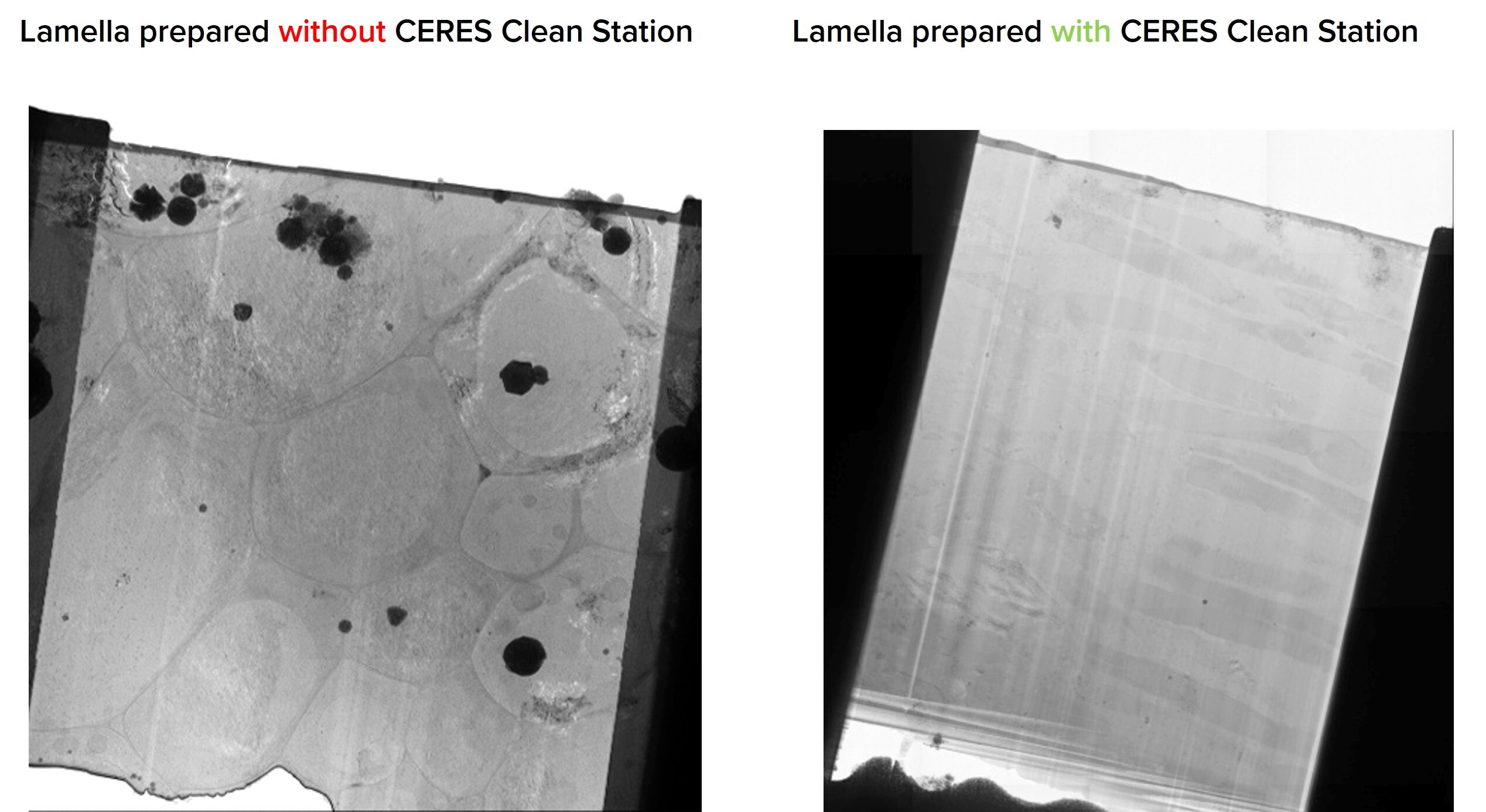 Lamella contamination ceres.png