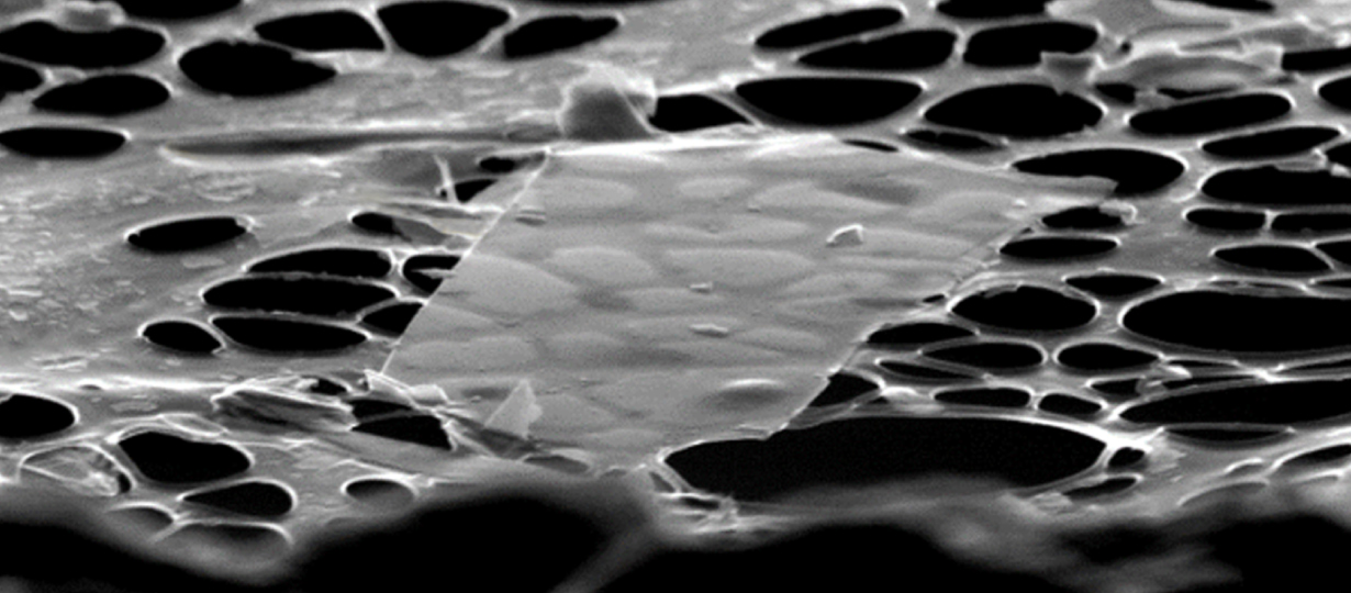 C_Image-title_2D-materials