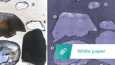 Image Thumbnail White Paper CL Complementary CathodoluminescenceRES_380x215