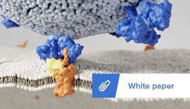 How Cryo-EM is Accelerating Drug Development