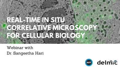 Thumbnail Webinar Real-time in situ CLEM full