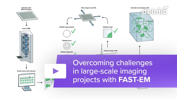 Overcoming challenges in large-scale imaging projects with FAST-EM