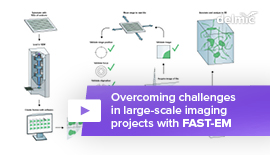 Overcoming challenges in large-scale imaging projects with FAST-EM