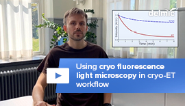 Using cryo fluorescence light microscopy in cryo-ET workflow