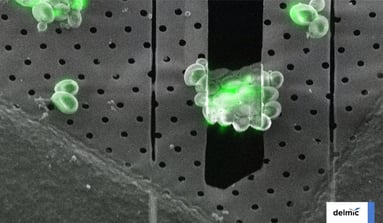 2023_Cryo_CryoCLEM-Advantages_Header