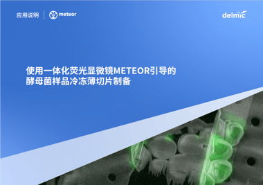 METEOR应用说明：METEOR引导下的酵母菌样品冷冻薄切片制备