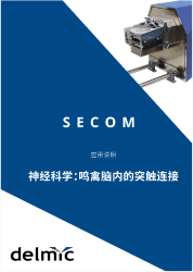神经科学应用说明：鸣鸟大脑中的突触连接