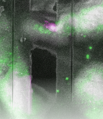 Cryo_Cell Biology_Features Slider