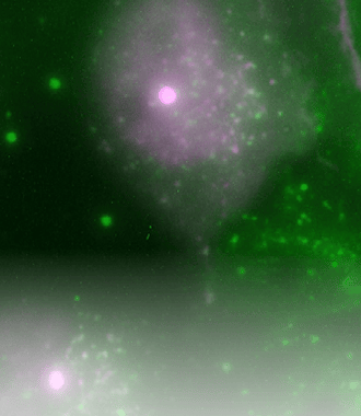 Cryo_Life Sciences_Features Slider