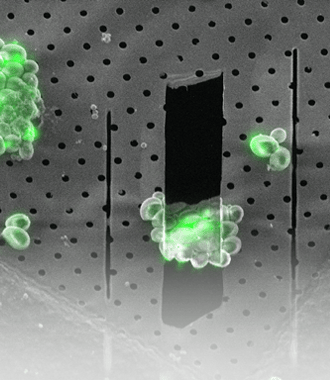 Cryo_Microbiology_Features Slider