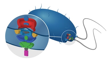 Cell Biology_Cryo_Media Slider