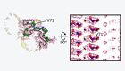 News Thumbnail_Cryo_Parkinsons Disease