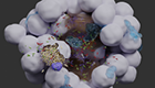News Thumbnail_FI_Bladder Organoid