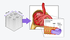 News Thumbnail_FI_Pathology Blogpost