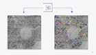 News Thumbnail_FI_Volume EM Automated Segmentation