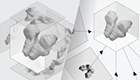 NewsThumbnail_Cryo_Cryo-EM vs Cryo-ET