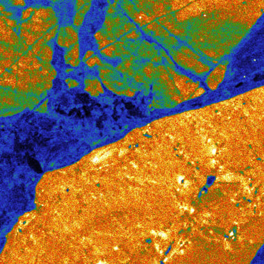PMT image of quartz in sandstone