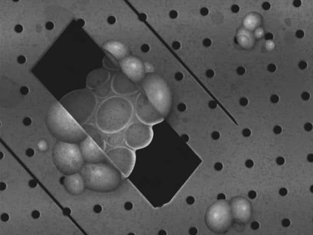 MediaResize_CERES_Contamination_2