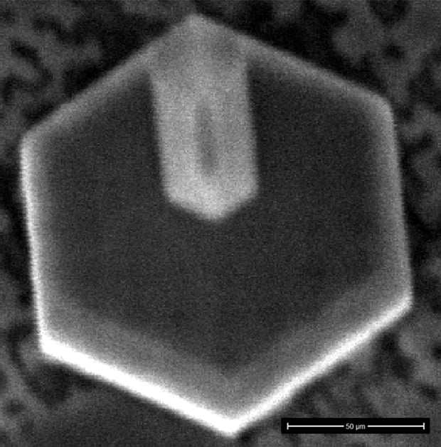 SE image of InGaN microrod LED structure