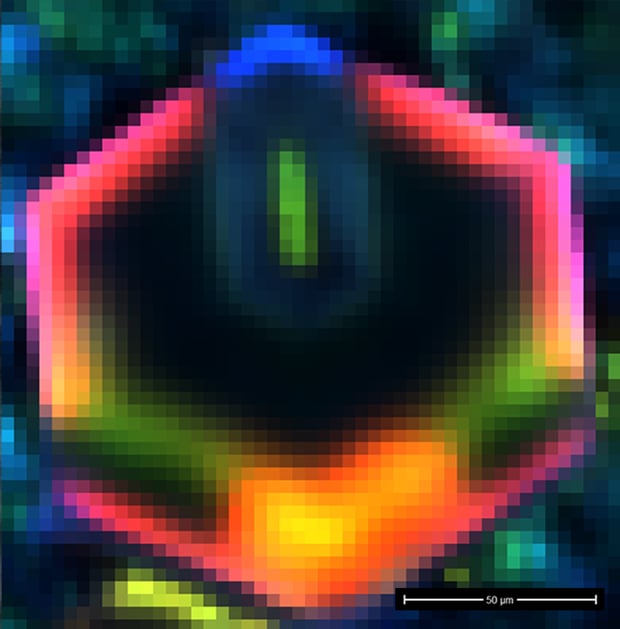 Hyperspectral false color RGB cathodoluminescence image of InGaN microrod LED structure