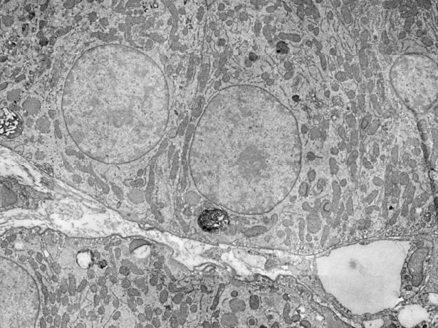 2021_FI_Field-000-004-0_MediaResize_1