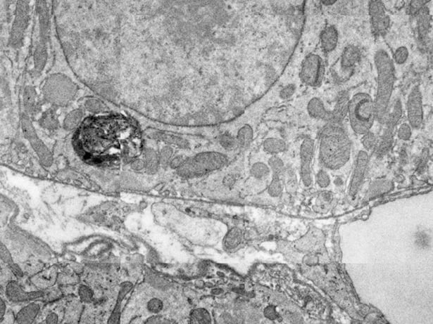 2021_FI_Field-000-004-0_MediaResize_2