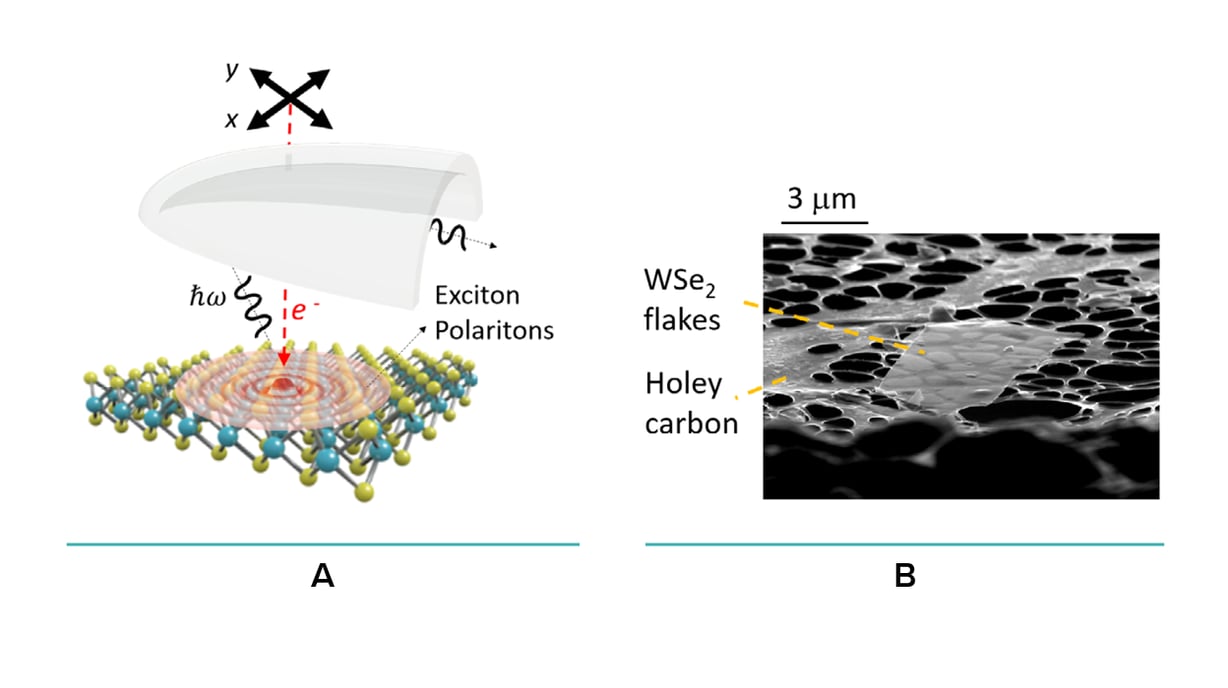 Excitation of exciton polaritons in TMDC flake with electron beam