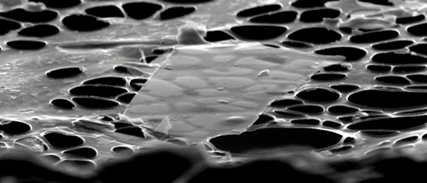 2D Materials - Media with Description