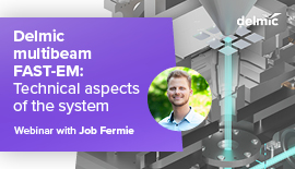 Delmic multibeam FAST-EM: technical aspects of the system