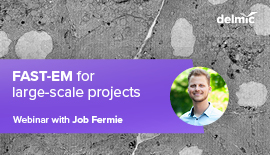Fast EM for large-scale projects