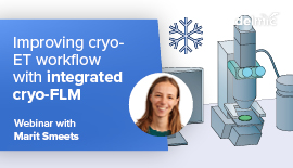 Improving cryo-electron tomography workflow with integrated fluorescence light microscopy