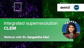 Superresolution correlative microscopy