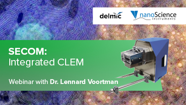 2021_SECOM Integrated CLEM_Webinars_ResourceLib_380x215