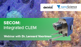 Integrated CLEM