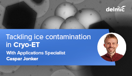 Tackling ice contamination in cryo-ET