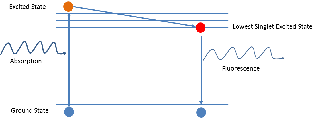 What is Correlative Light and Electron Microscopy?