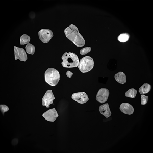 Cathodoluminescence intensity map of zircons